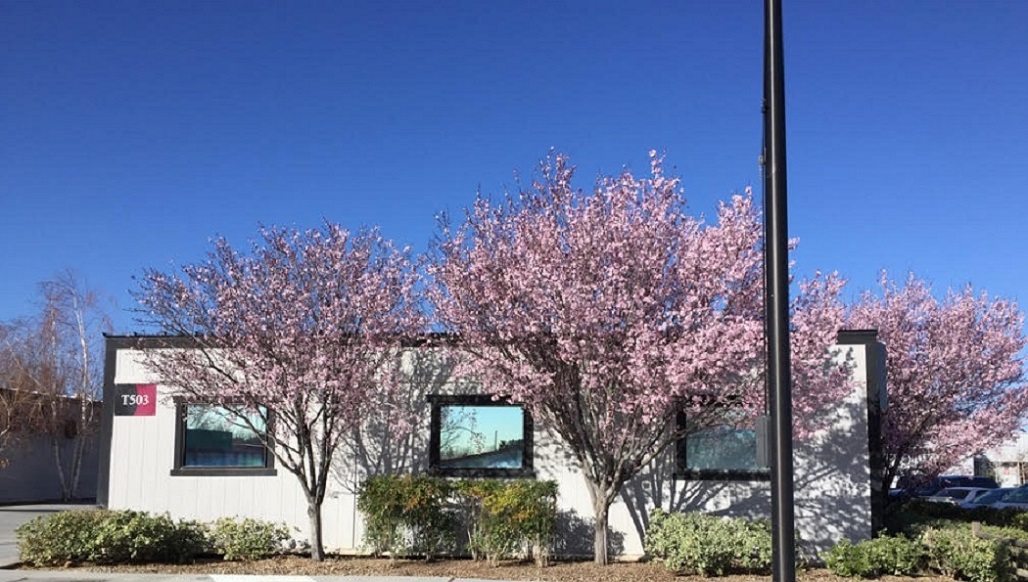 Registration And Program Guidelines Antelope Valley College registration-and-program-guidelines-antelope-valley-college