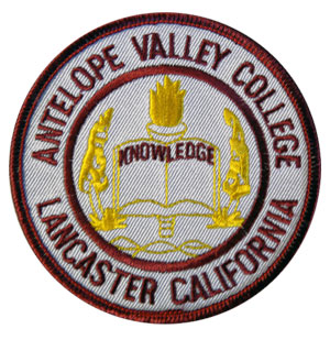 Nursing Patch AVC