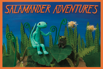 Salamander Adventures