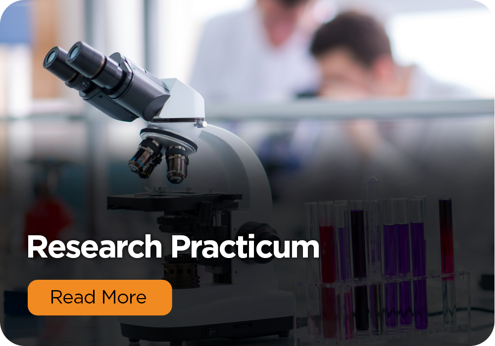 Research Practicum