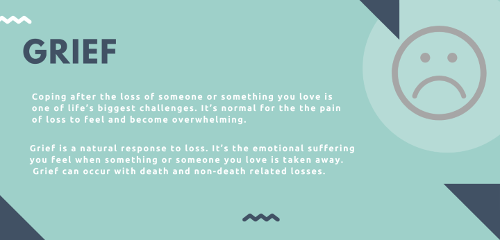 Grief and Loss image