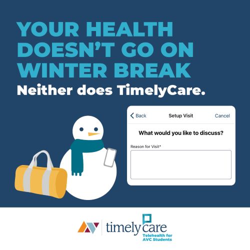 Holiday Timely CARE Post
