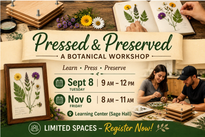 Pressed & Preserved Workshop Sept 8 | 9AM - 12PM & Nov 6 | 8AM - 11AM