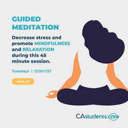 Timely MD Summer Sessions graphic