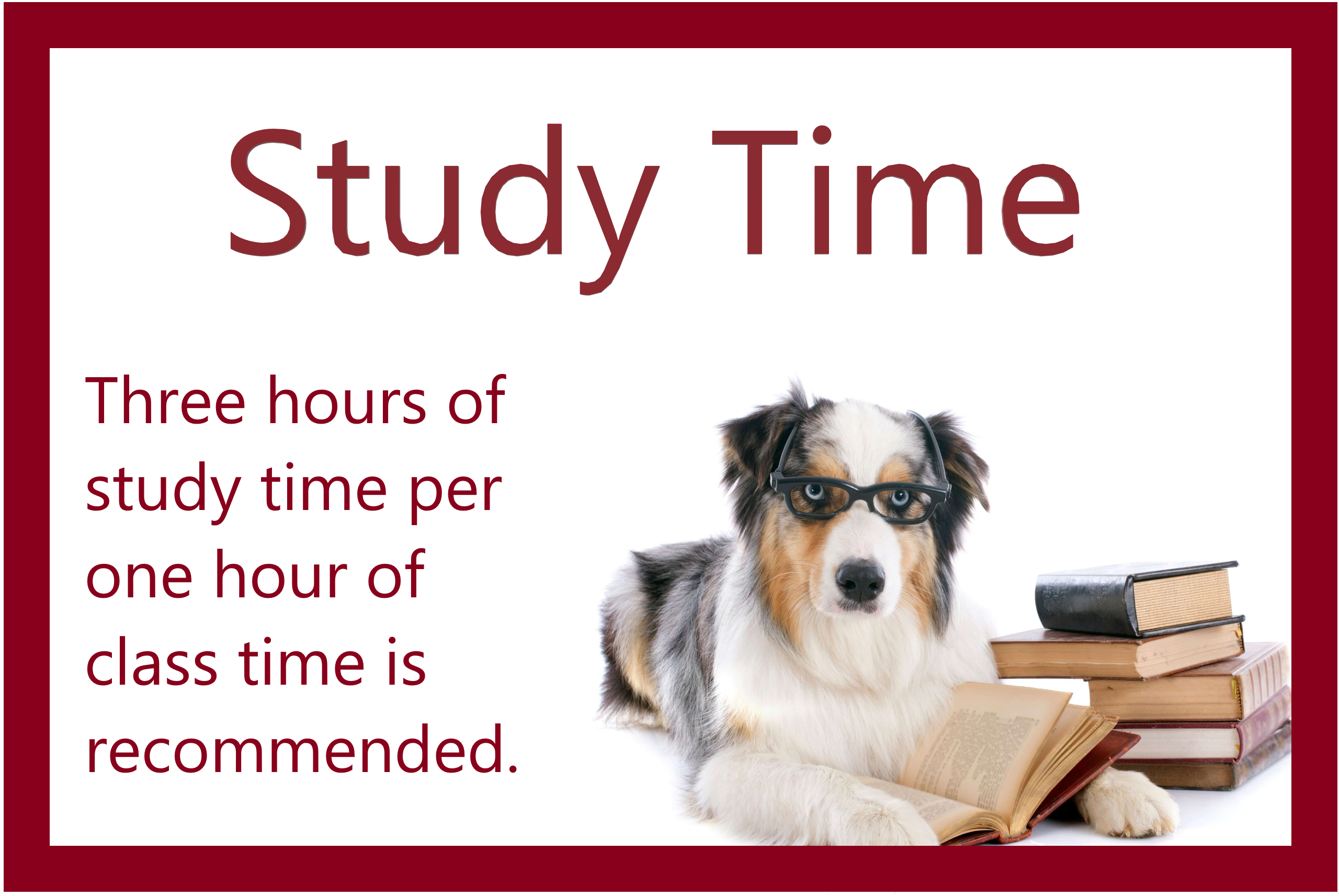 Don't forget your Study Time!