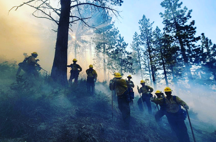 AVC Wildland Firefighters
