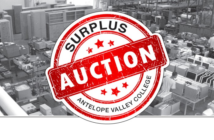 Surplus Auction