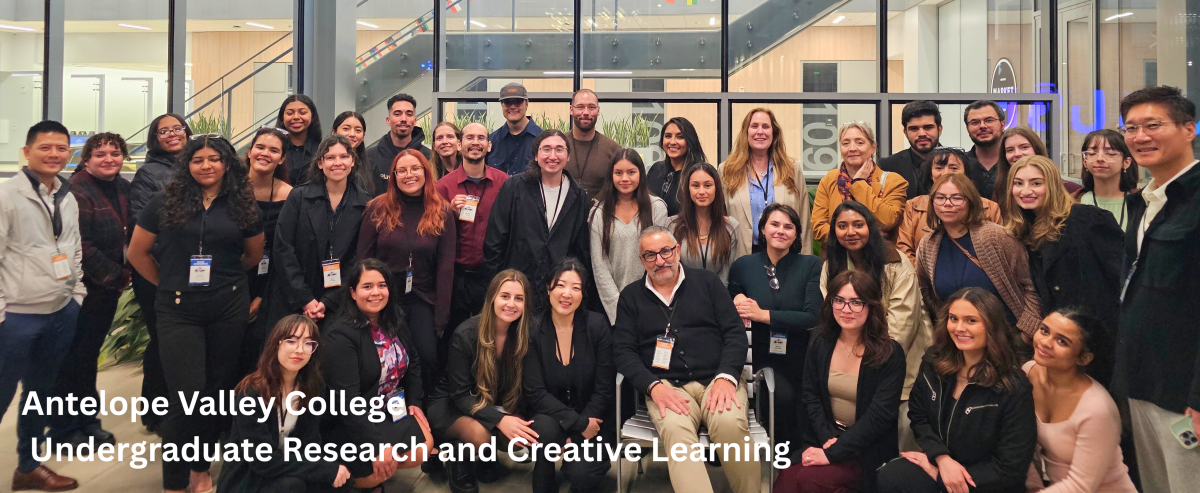 Undergraduate Research