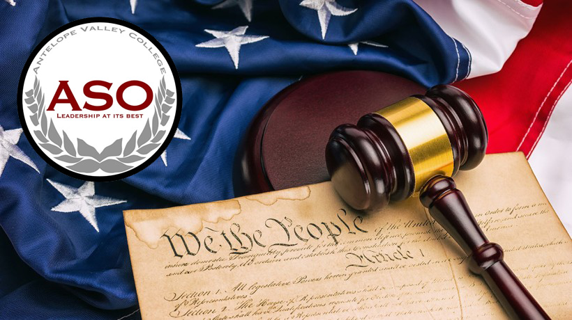 Constitutional Day Essay Contest