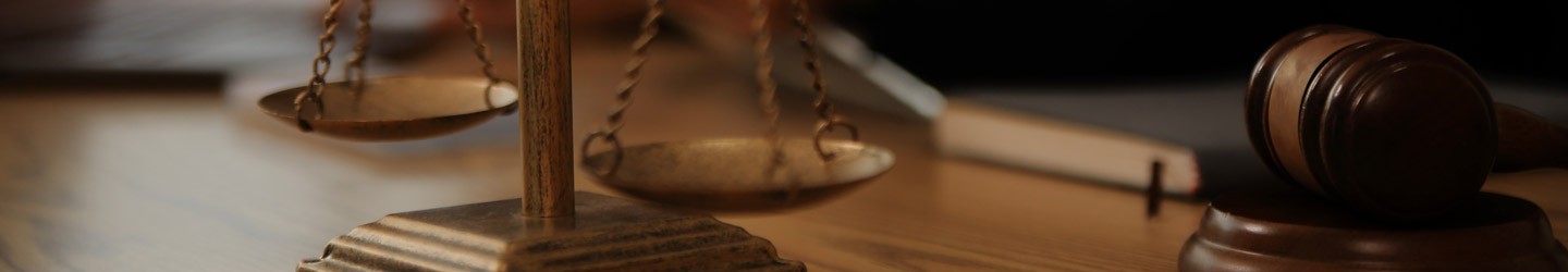 Paralegal Services