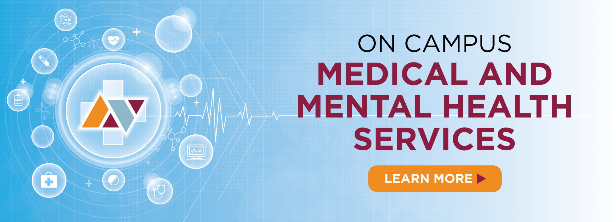 On campus medical and mental health services