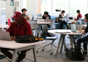 Students studying at AVC