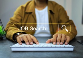 JOB Search