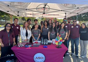School Night Bites with ASO Group