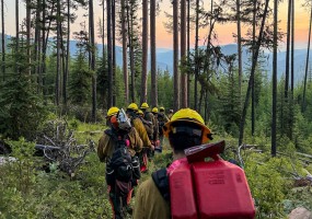 AVC Marauders Fire Crew members hike single file through a forest in Montana carrying wildland firefighting equipment