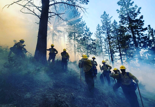 AVC Wildland Firefighters