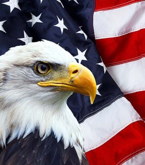 American flag and eagle