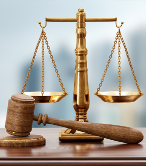 Paralegal Services