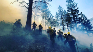 AVC Wildland Firefighters