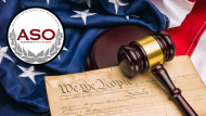 Constitutional Day Essay Contest