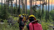 AVC Marauders Fire Crew members hike single file through a forest in Montana carrying wildland firefighting equipment