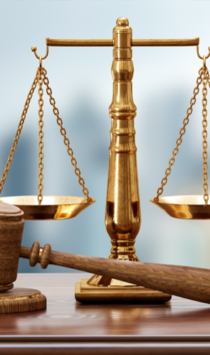 Paralegal Services